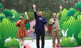 海丰月亮爆料视频最新,神秘事件背后真相揭晓